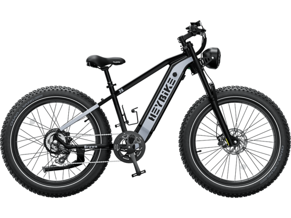 Heybike - Brawn Ebike - Image 2