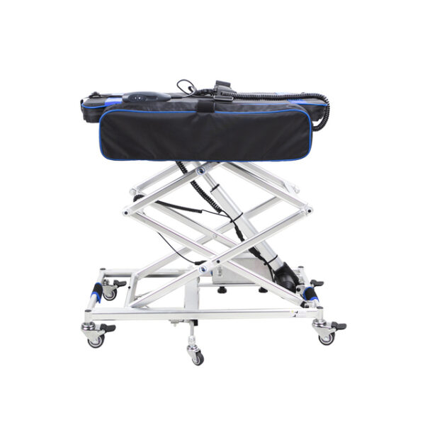 Wheelchair Lift Model - Image 3